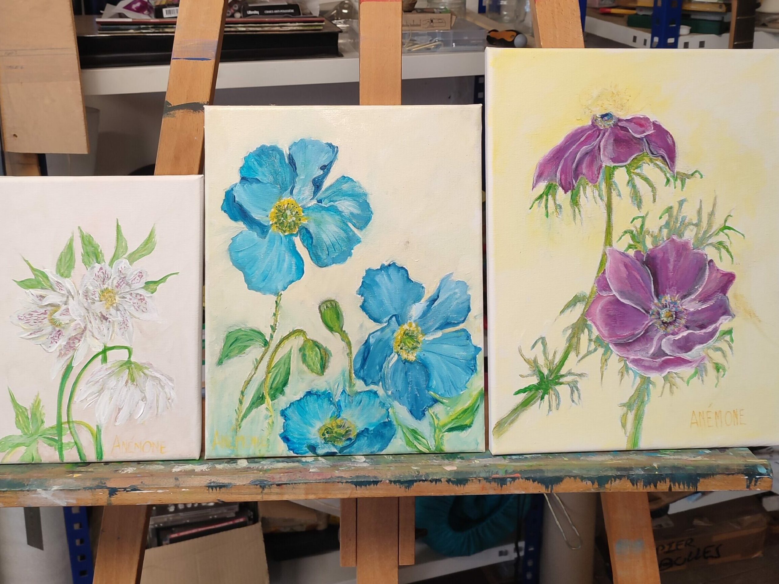 Anémone Reinhardt, Déclinaison Florale.